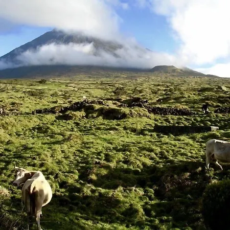 A Casa Do Ouvidor Pensjonat